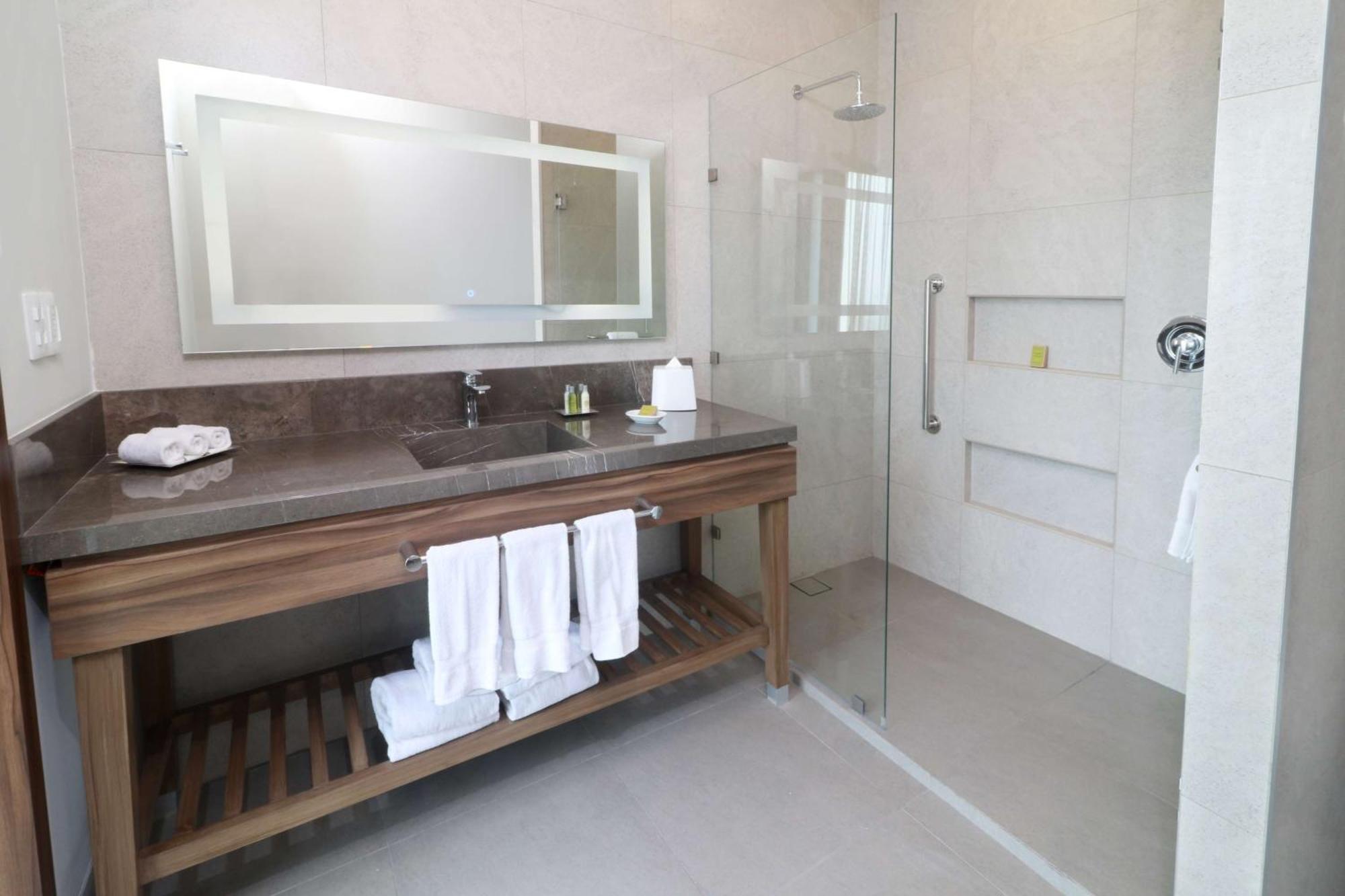 Hotel Hilton Garden Obispado 3*